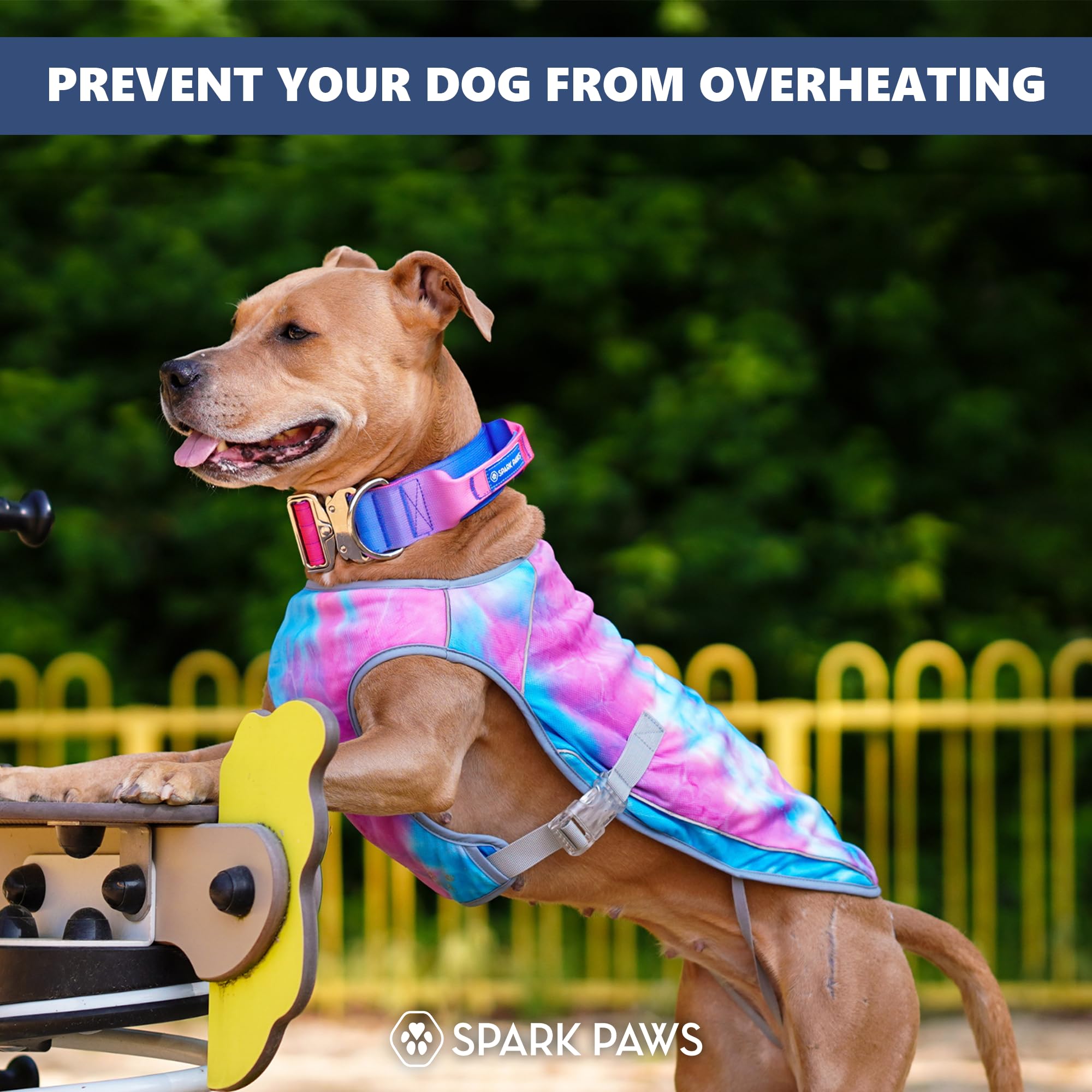 Spark Paws Dog Cooling Vest - SPF 50 UV Sun Protection - Summer Heat Relief Gear for Dogs, Lightweight, Evaporative Cooling - Dog Anxiety Relief Vest During Hot Days - Snowcone, Small - Image 6