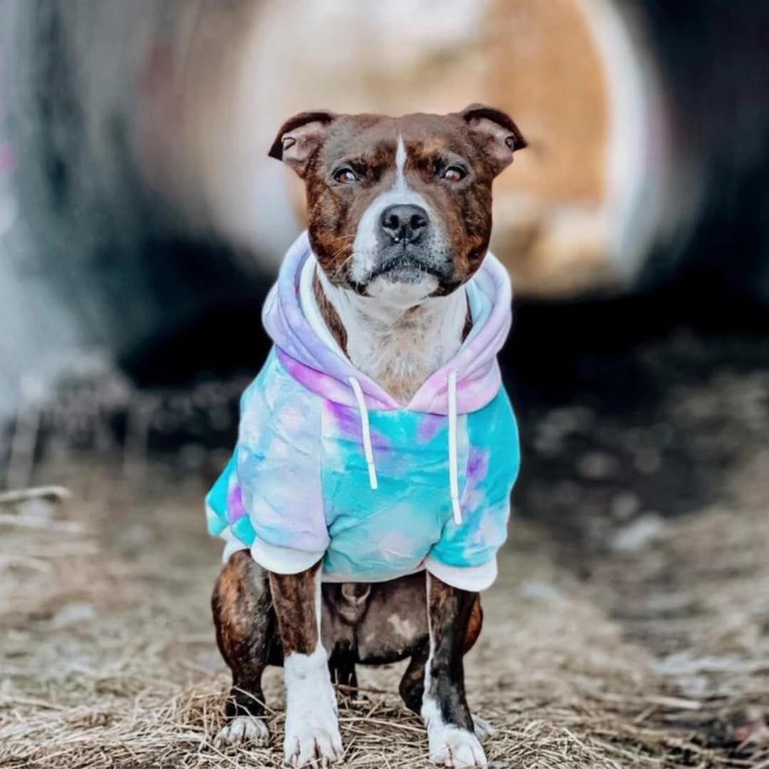 Spark Paws Dog Hoodie – Premium Dog Sweater for Small, Medium, and Large Dogs | Warm Outfits for French Bulldogs, Pitbull, Puppy, Winter Jacket Alternative - 90s Retro Sky Dye - 3XL - Image 3