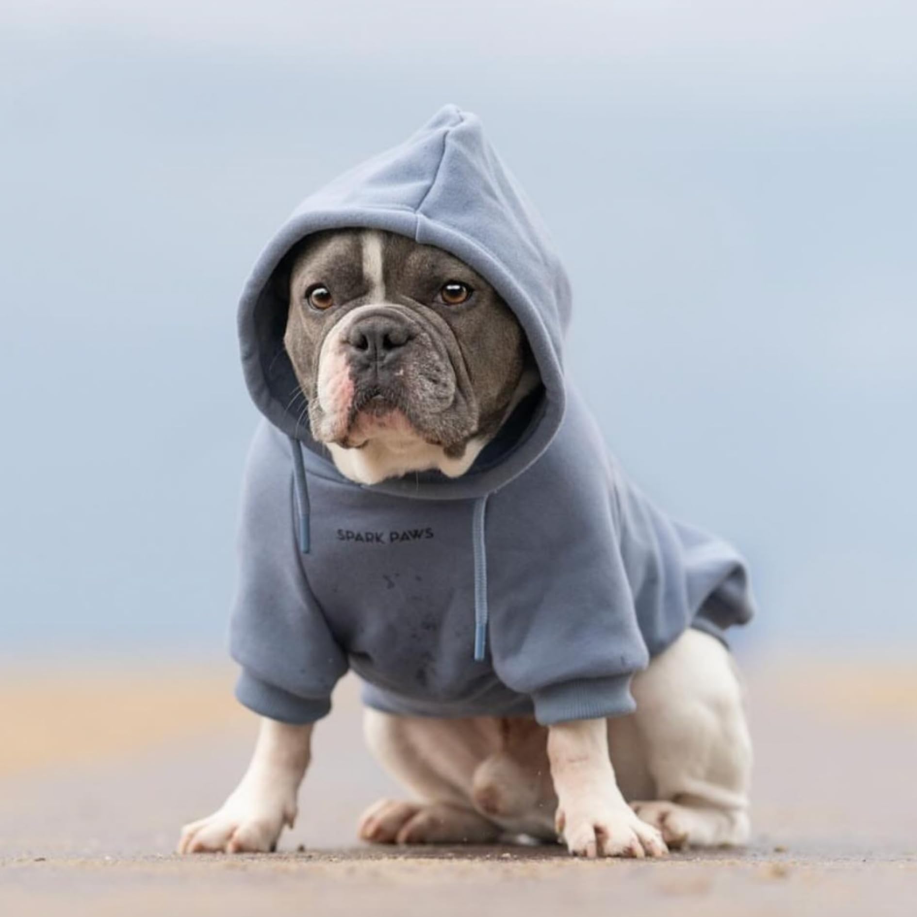 Spark Paws Dog Hoodie – Premium Dog Sweater for Small, Medium, and Large Dogs | Warm Outfits for French Bulldogs, Pitbull, Puppy, Winter Jacket Alternative - Slate Blue - L - Image 3
