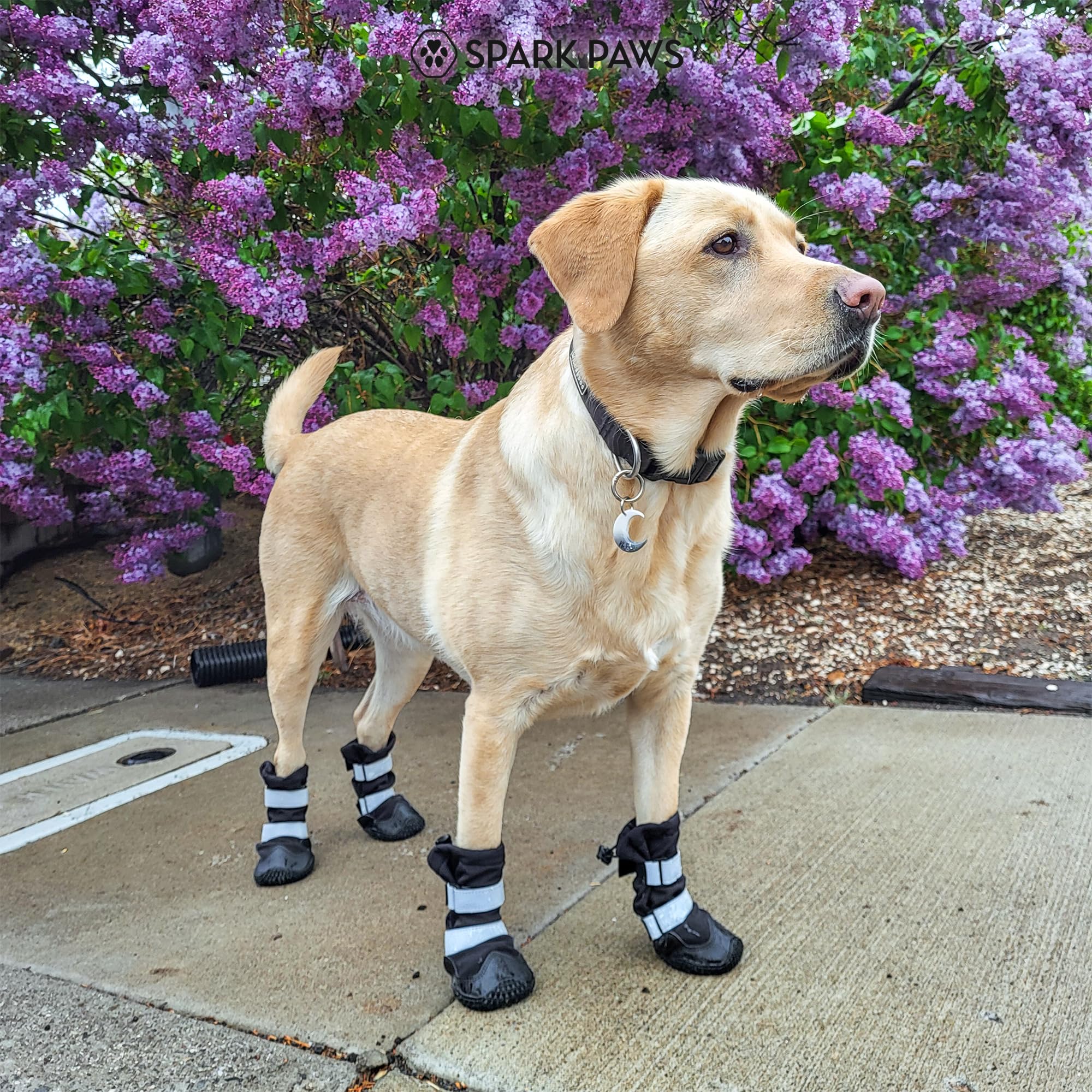 Spark Paws Dog Rainboots, Waterproof Dog Shoes for Medium to Large Dogs, Non Slip, Dog Booties and Paw Protectors - 4PCS Doggie Hiking Boots with Reflective Straps - Black - Size 7 - Image 7