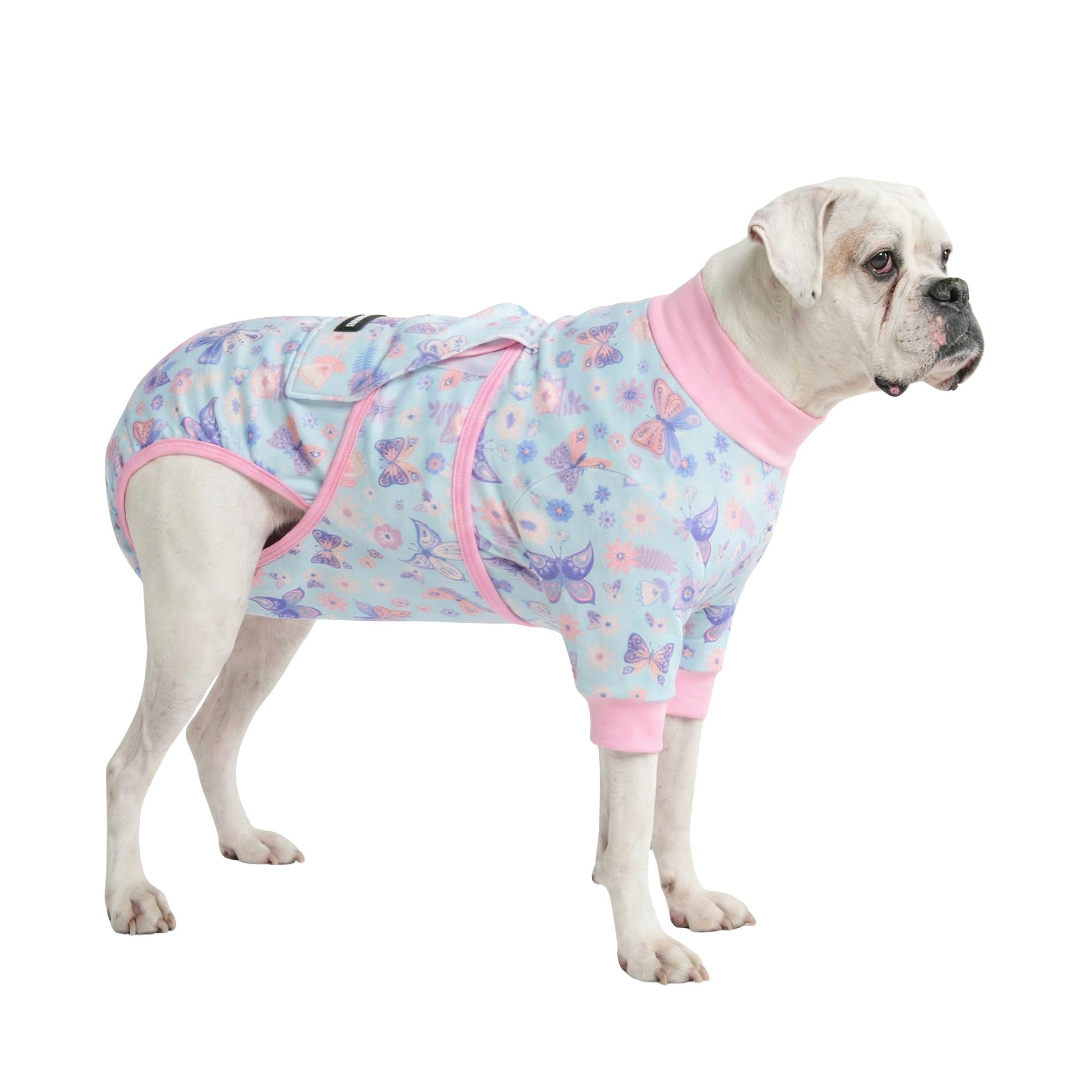 Dog Pajamas