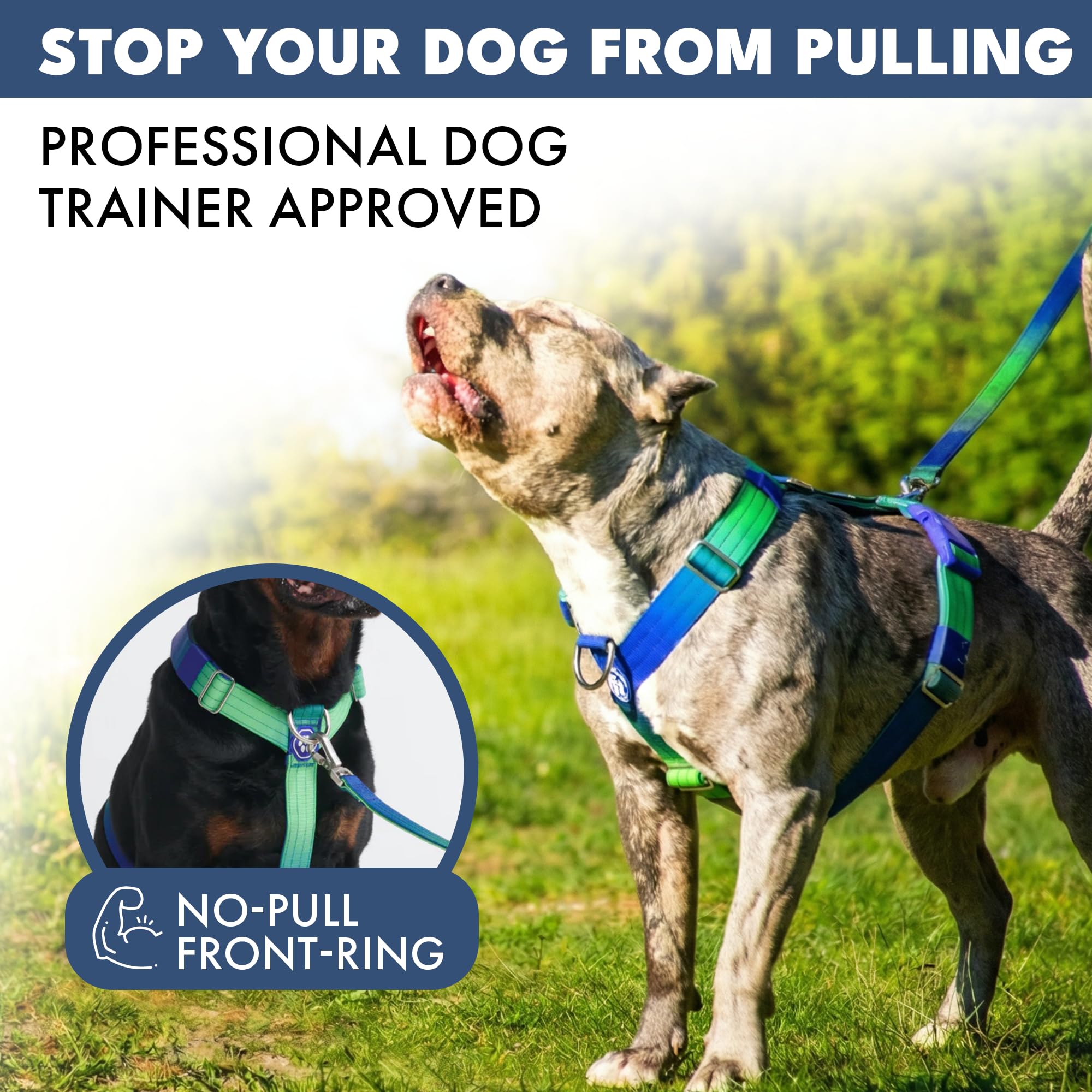 Spark Paws No Pull Dog Harness with Handle for Large Dogs, Heavy Duty Dog Harness for Big Strong Breeds, Adjustable, Y Shaped Padded Halter Design with Front Clip - Lime Wave - S - Image 3