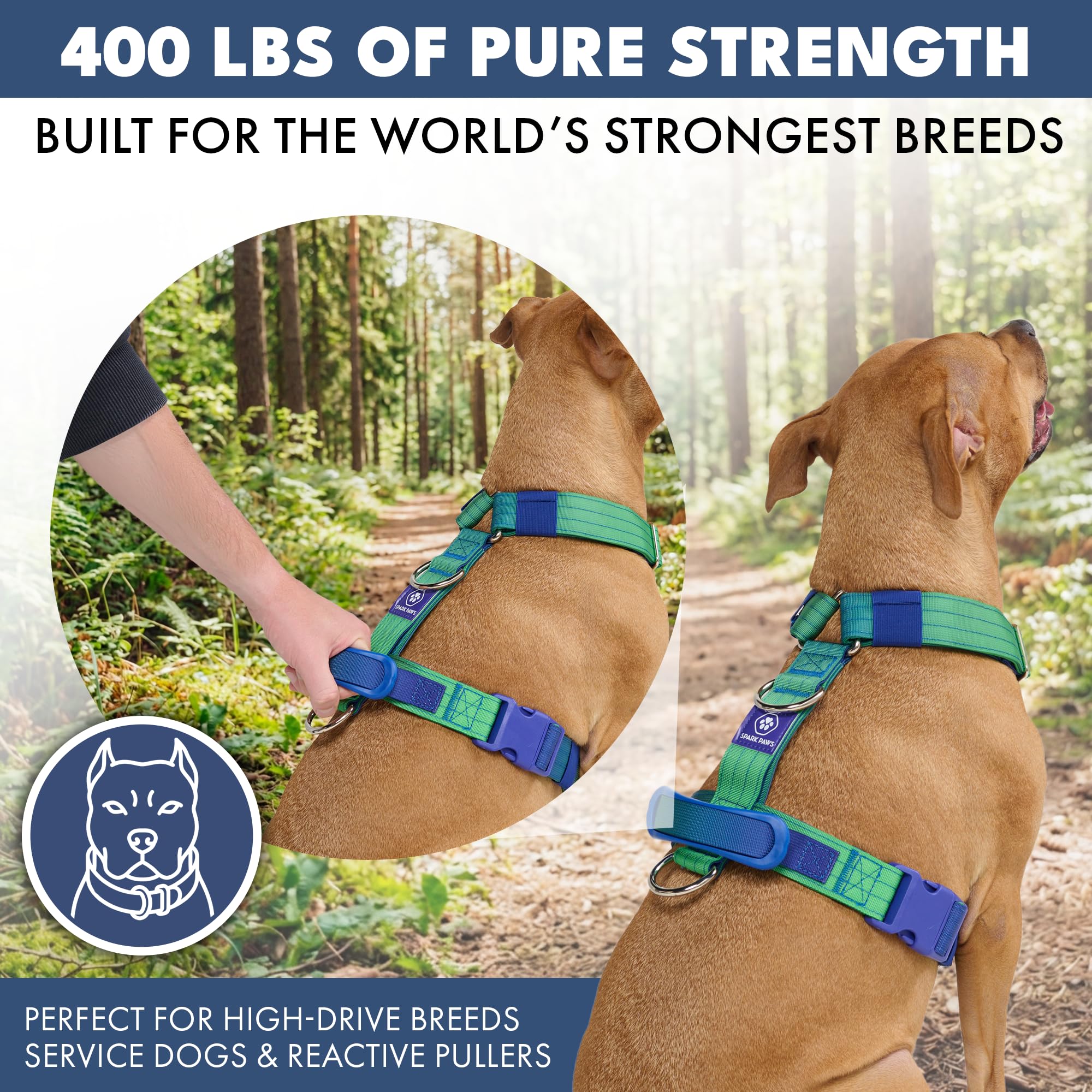 Spark Paws No Pull Dog Harness with Handle for Large Dogs, Heavy Duty Dog Harness for Big Strong Breeds, Adjustable, Y Shaped Padded Halter Design with Front Clip - Lime Wave - S - Image 4