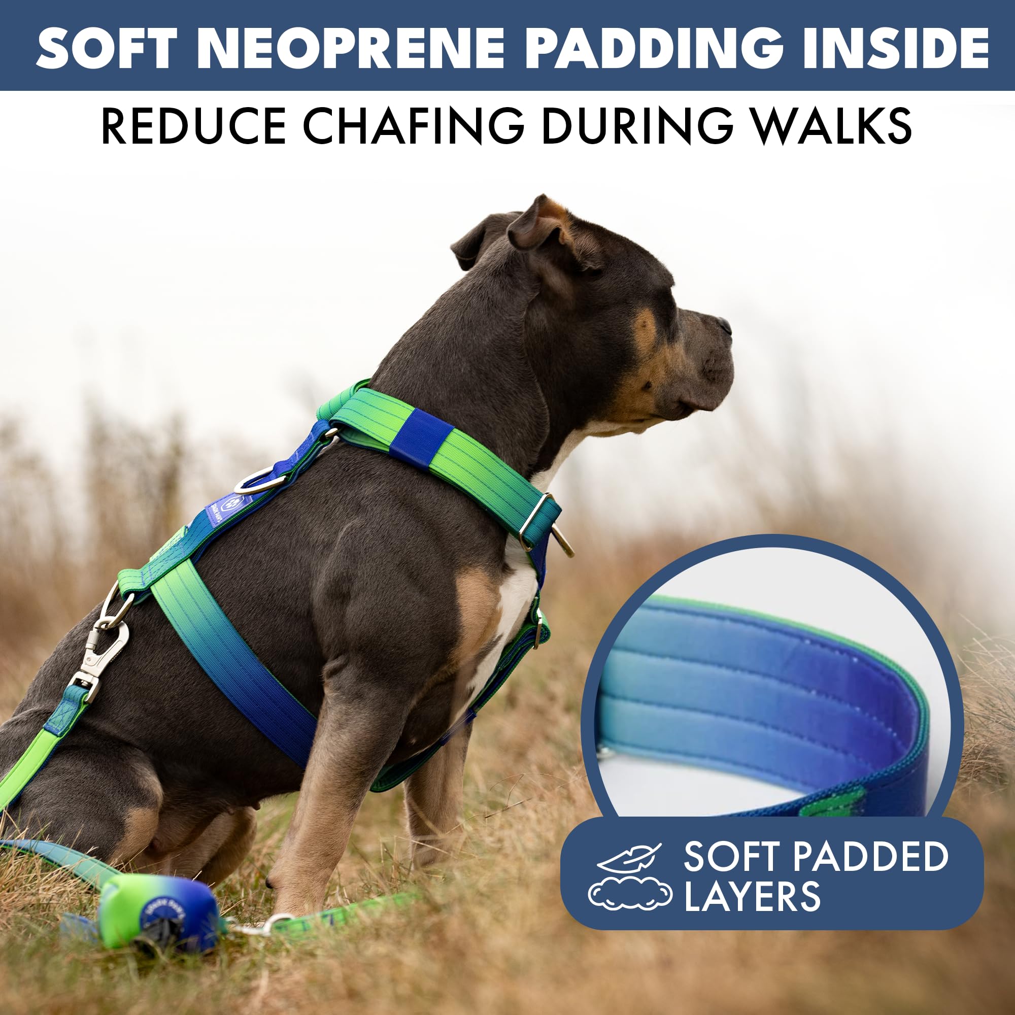 Spark Paws No Pull Dog Harness with Handle for Large Dogs, Heavy Duty Dog Harness for Big Strong Breeds, Adjustable, Y Shaped Padded Halter Design with Front Clip - Lime Wave - S - Image 5