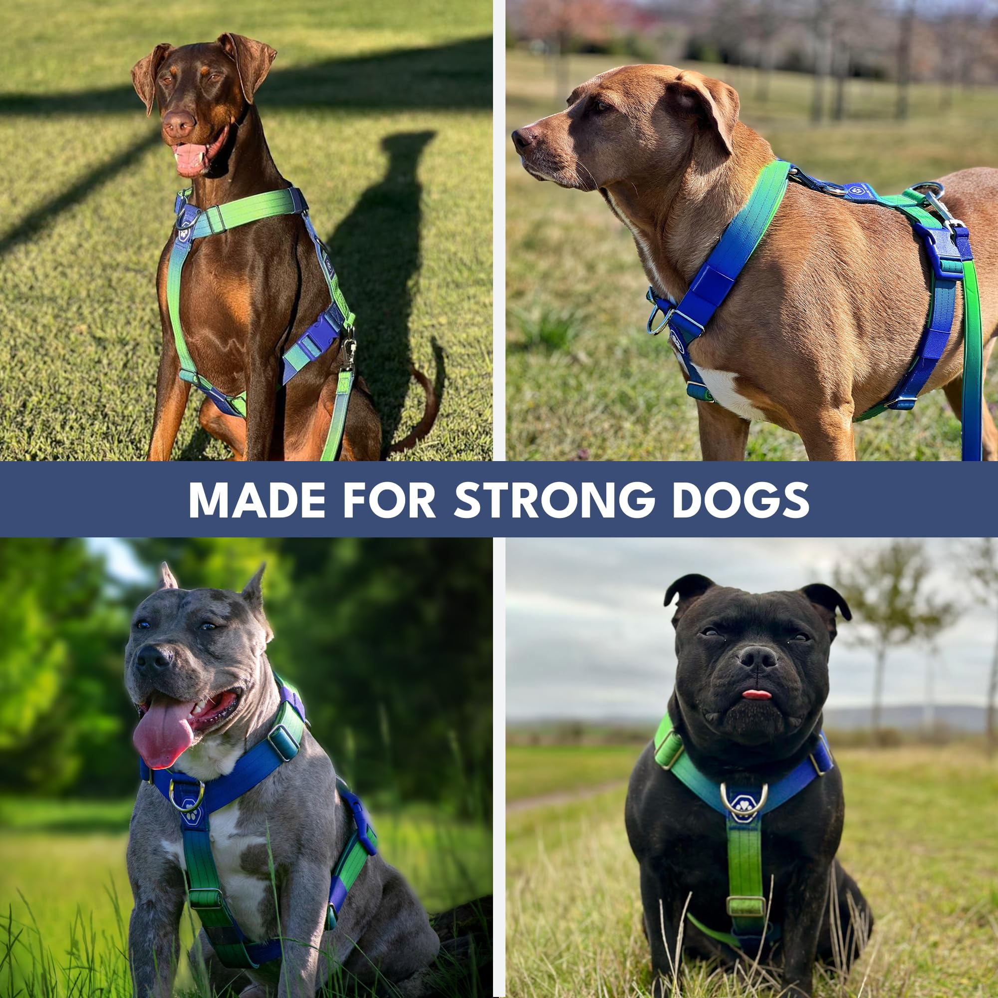 Spark Paws No Pull Dog Harness with Handle for Large Dogs, Heavy Duty Dog Harness for Big Strong Breeds, Adjustable, Y Shaped Padded Halter Design with Front Clip - Lime Wave - S - Image 8