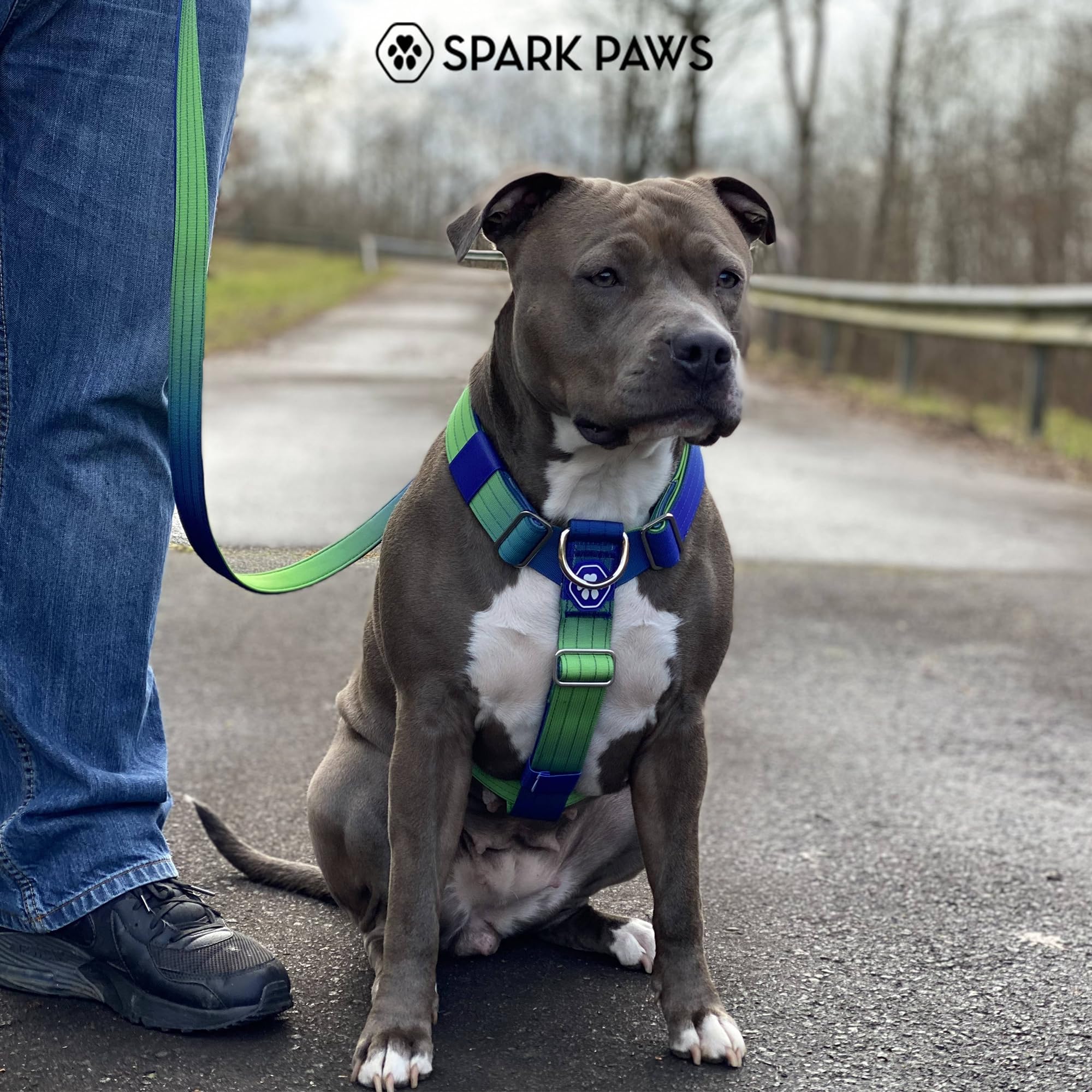 Spark Paws No Pull Dog Harness with Handle for Large Dogs, Heavy Duty Dog Harness for Big Strong Breeds, Adjustable, Y Shaped Padded Halter Design with Front Clip - Lime Wave - S - Image 9