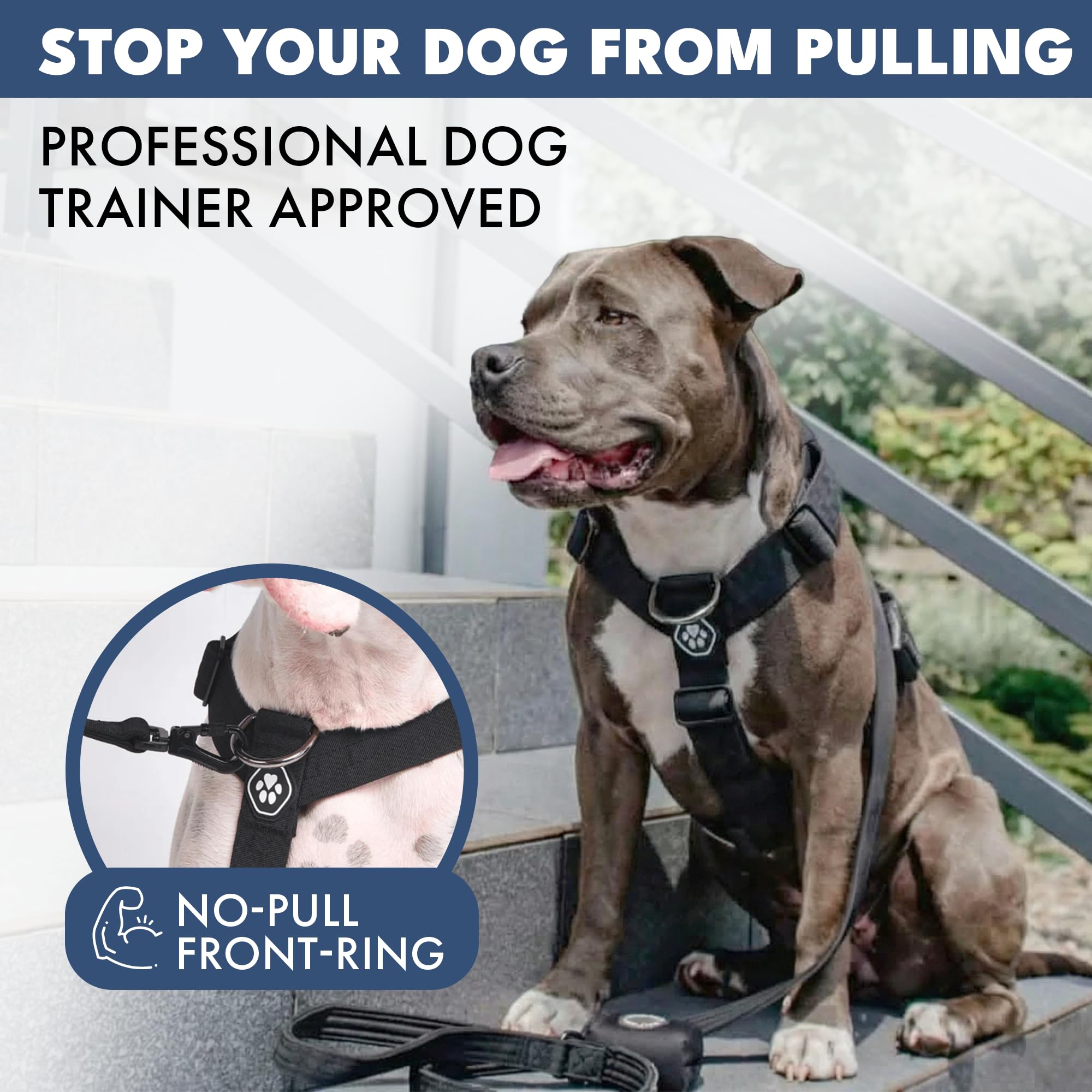 Spark Paws No Pull Dog Harness with Handle for Large Dogs, Heavy Duty Dog Harness for Big Strong Breeds, Adjustable, Y Shaped Padded Halter Design with Front Clip - Black - S - Image 3