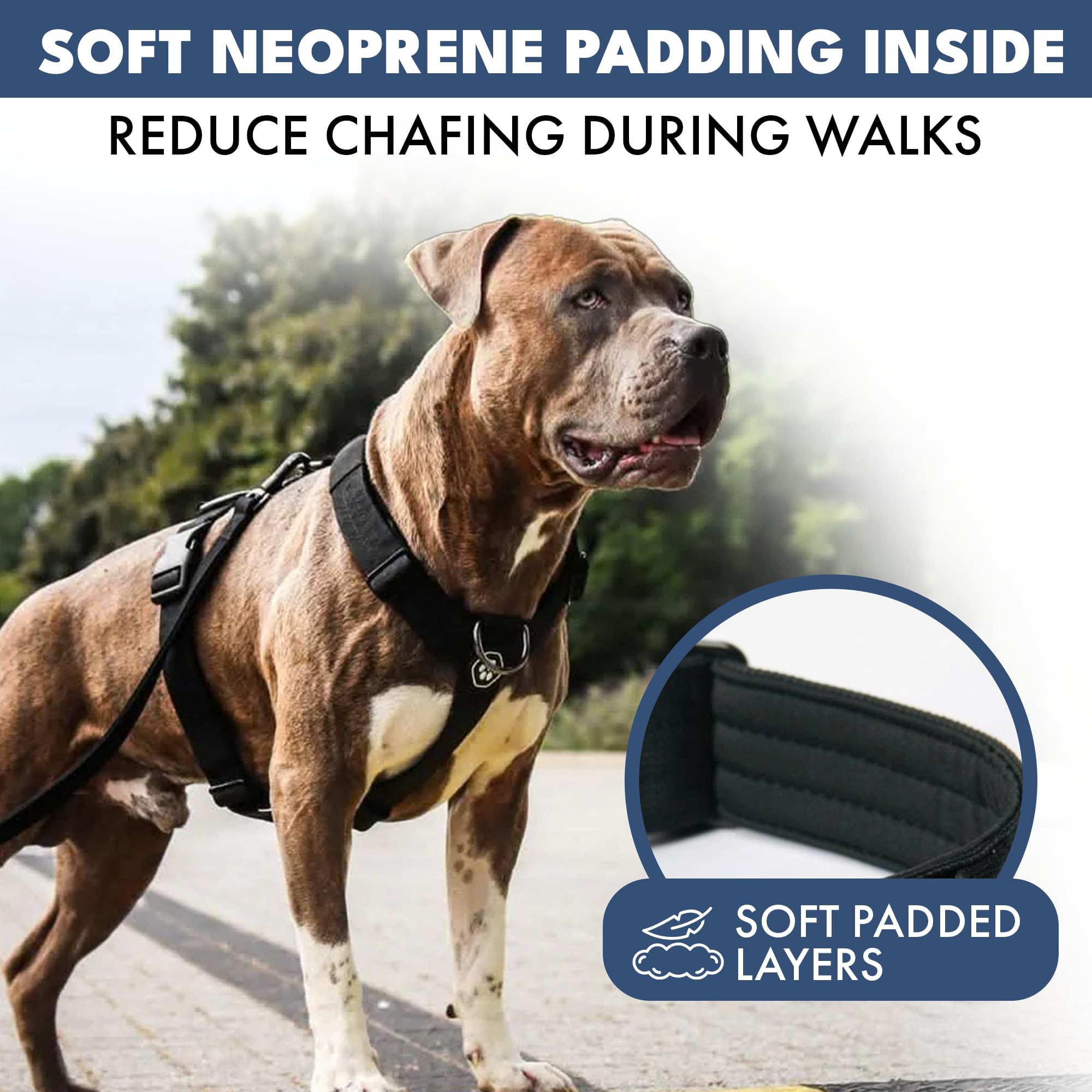 Spark Paws No Pull Dog Harness with Handle for Large Dogs, Heavy Duty Dog Harness for Big Strong Breeds, Adjustable, Y Shaped Padded Halter Design with Front Clip - Black - S - Image 5