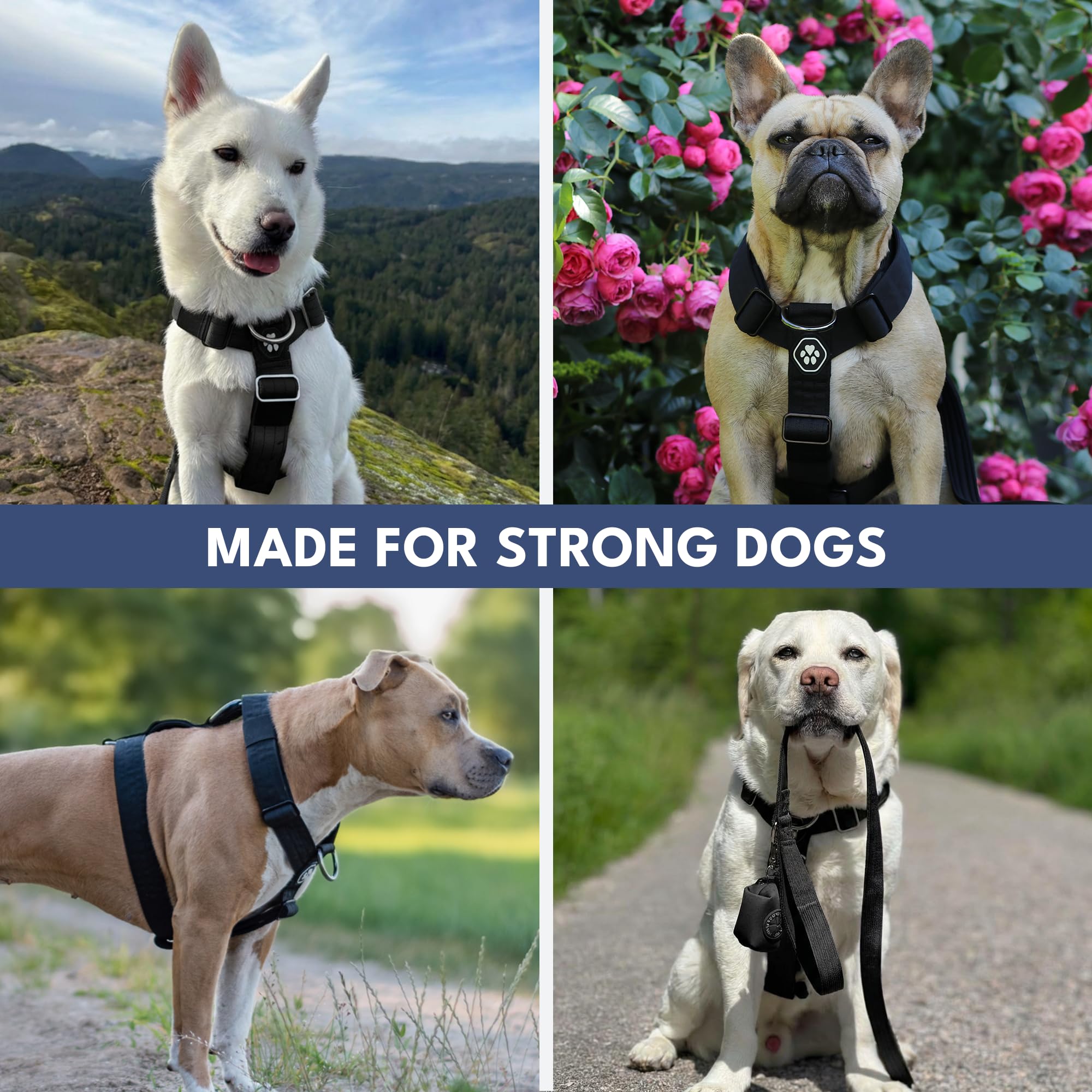 Spark Paws No Pull Dog Harness with Handle for Large Dogs, Heavy Duty Dog Harness for Big Strong Breeds, Adjustable, Y Shaped Padded Halter Design with Front Clip - Black - S - Image 8