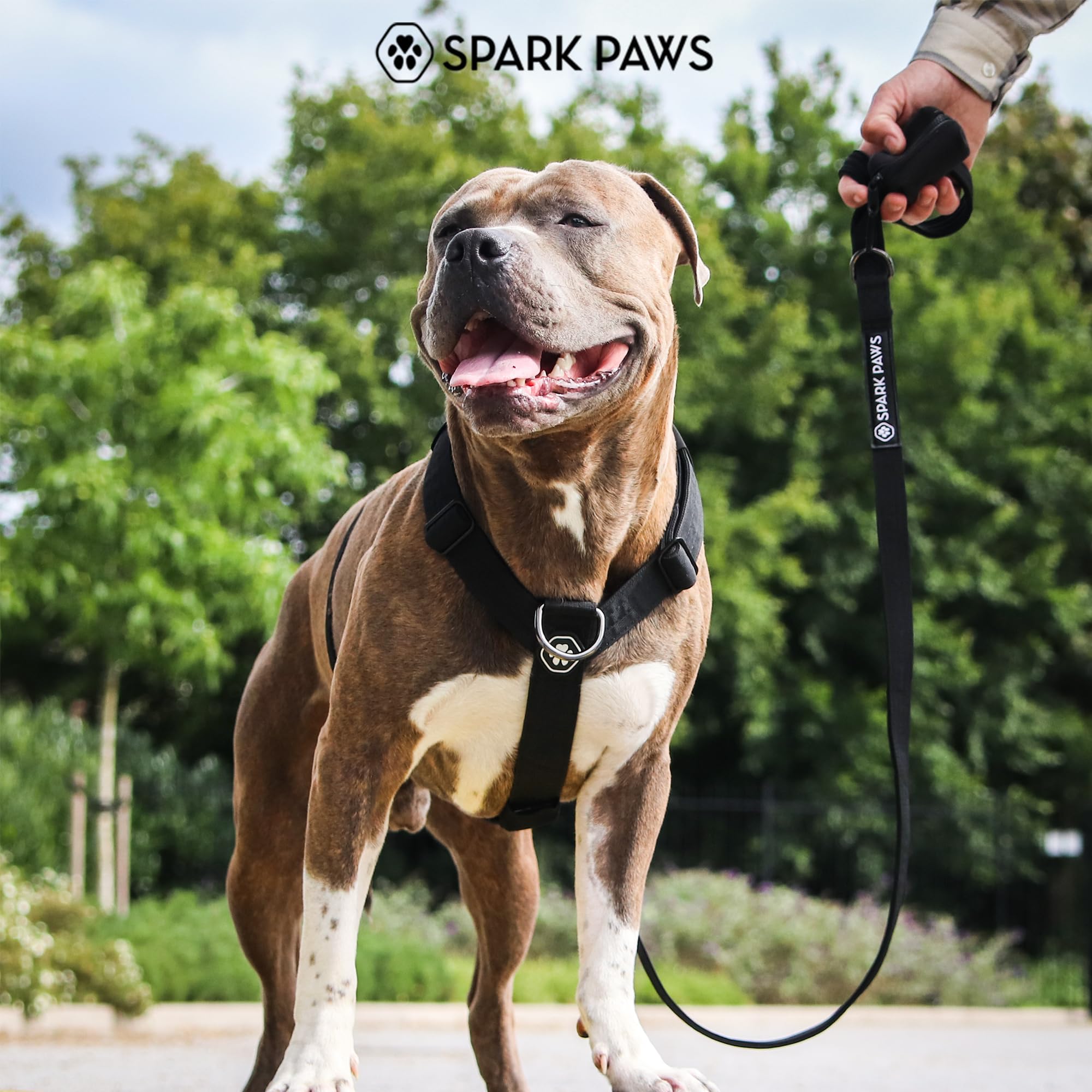 Spark Paws No Pull Dog Harness with Handle for Large Dogs, Heavy Duty Dog Harness for Big Strong Breeds, Adjustable, Y Shaped Padded Halter Design with Front Clip - Black - S - Image 9