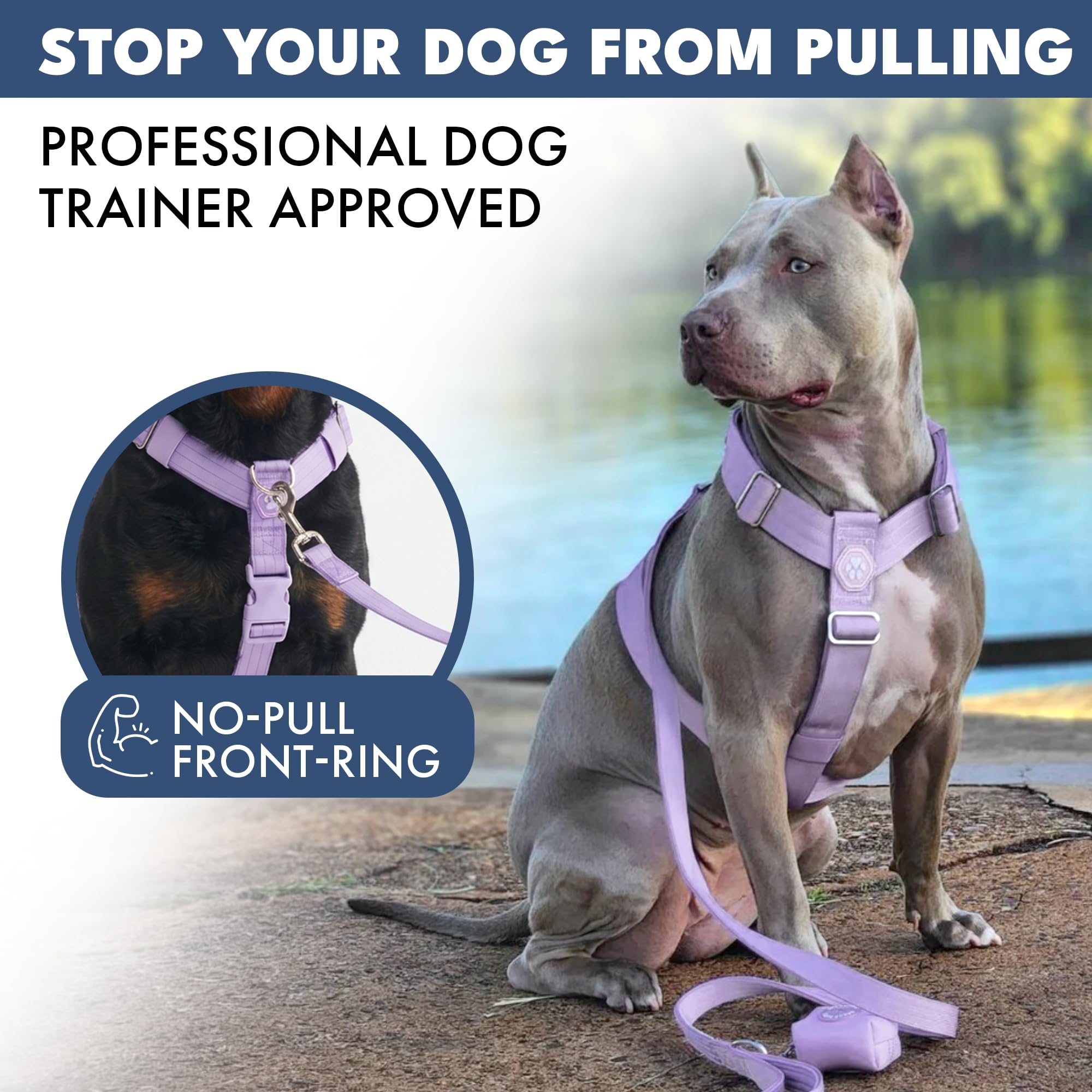 Spark Paws No Pull Dog Harness with Handle for Large Dogs, Heavy Duty Dog Harness for Big Strong Breeds, Adjustable, Y Shaped Padded Halter Design with Front Clip - Lilac - S - Image 3