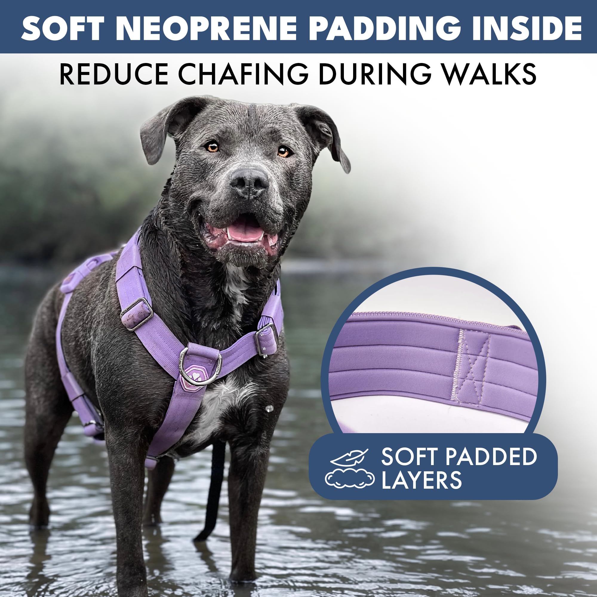 Spark Paws No Pull Dog Harness with Handle for Large Dogs, Heavy Duty Dog Harness for Big Strong Breeds, Adjustable, Y Shaped Padded Halter Design with Front Clip - Lilac - S - Image 5