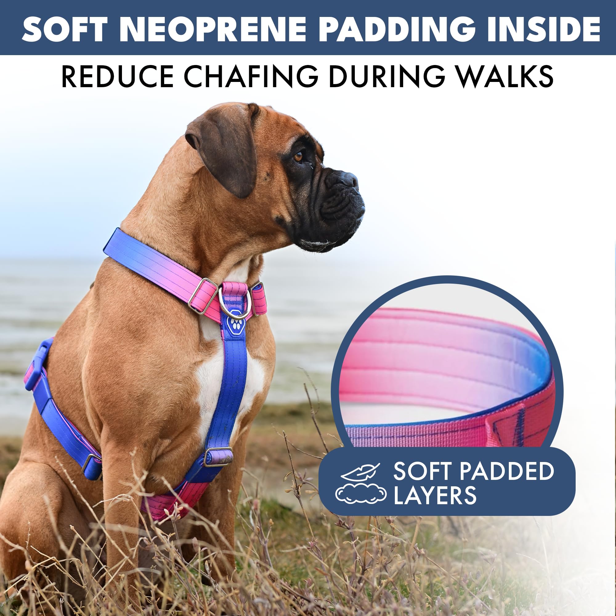 Spark Paws No Pull Dog Harness with Handle for Large Dogs, Heavy Duty Dog Harness for Big Strong Breeds, Adjustable, Y Shaped Padded Halter Design with Front Clip - Snow Cone - M - Image 5