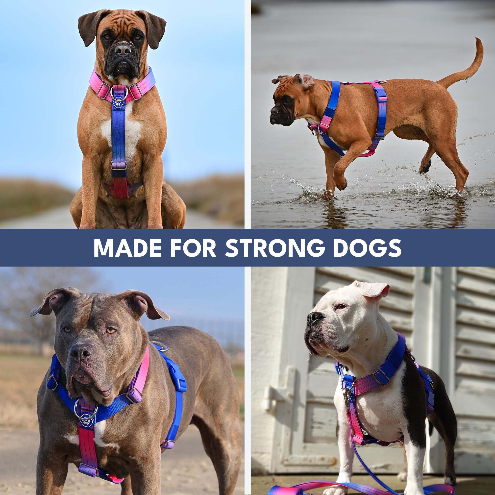 Spark Paws No Pull Dog Harness with Handle for Large Dogs, Heavy Duty Dog Harness for Big Strong Breeds, Adjustable, Y Shaped Padded Halter Design with Front Clip - Snow Cone - M - Image 8