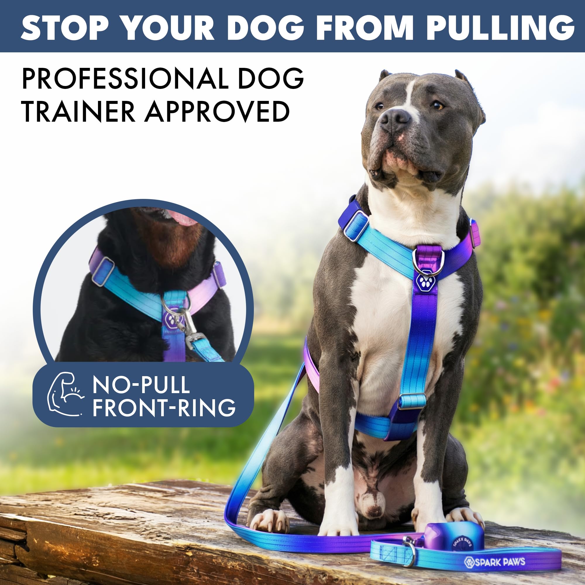 Spark Paws No Pull Dog Harness with Handle for Large Dogs, Heavy Duty Dog Harness for Big Strong Breeds, Adjustable, Y Shaped Padded Halter Design with Front Clip - 90s Retro - L - Image 3