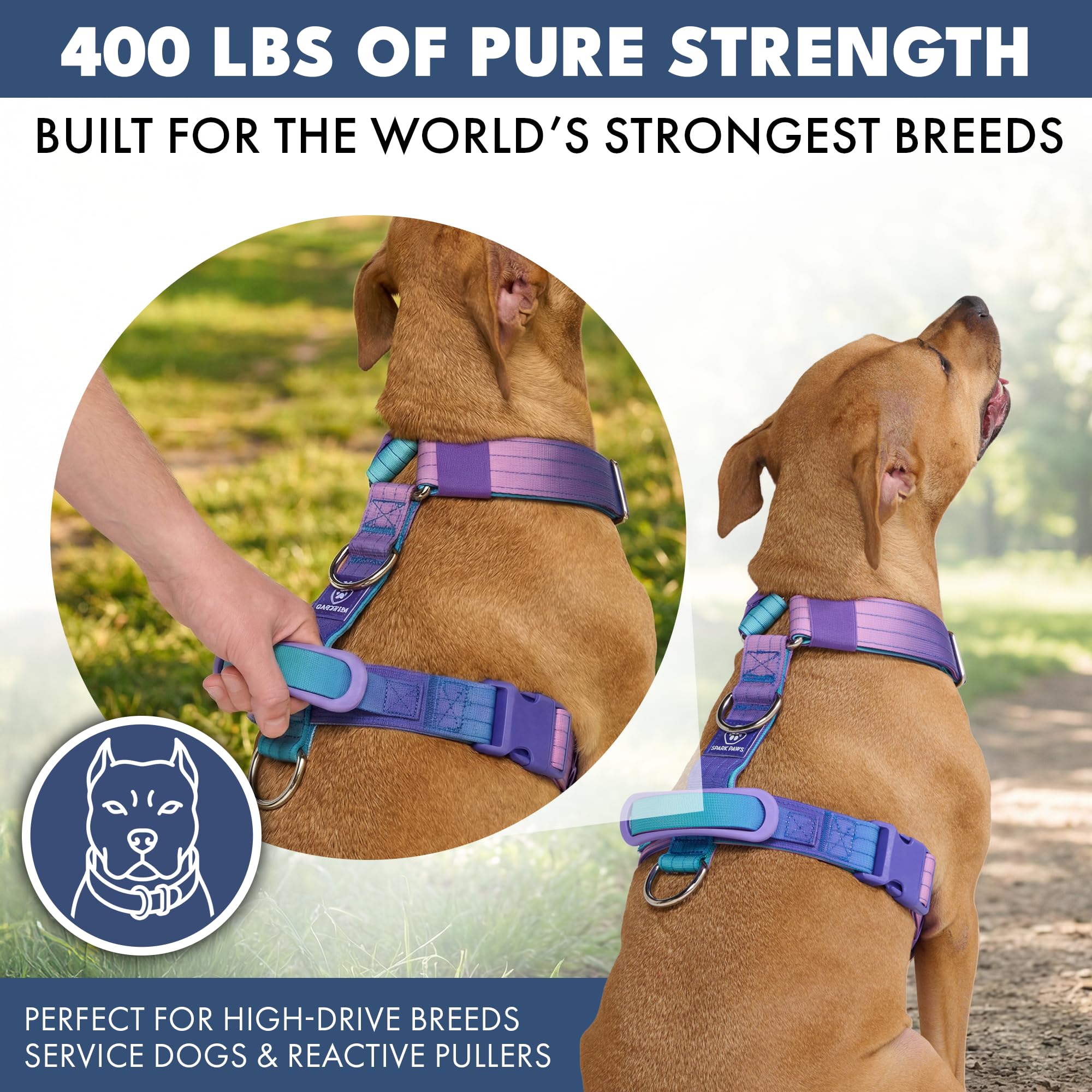 Spark Paws No Pull Dog Harness with Handle for Large Dogs, Heavy Duty Dog Harness for Big Strong Breeds, Adjustable, Y Shaped Padded Halter Design with Front Clip - 90s Retro - L - Image 4