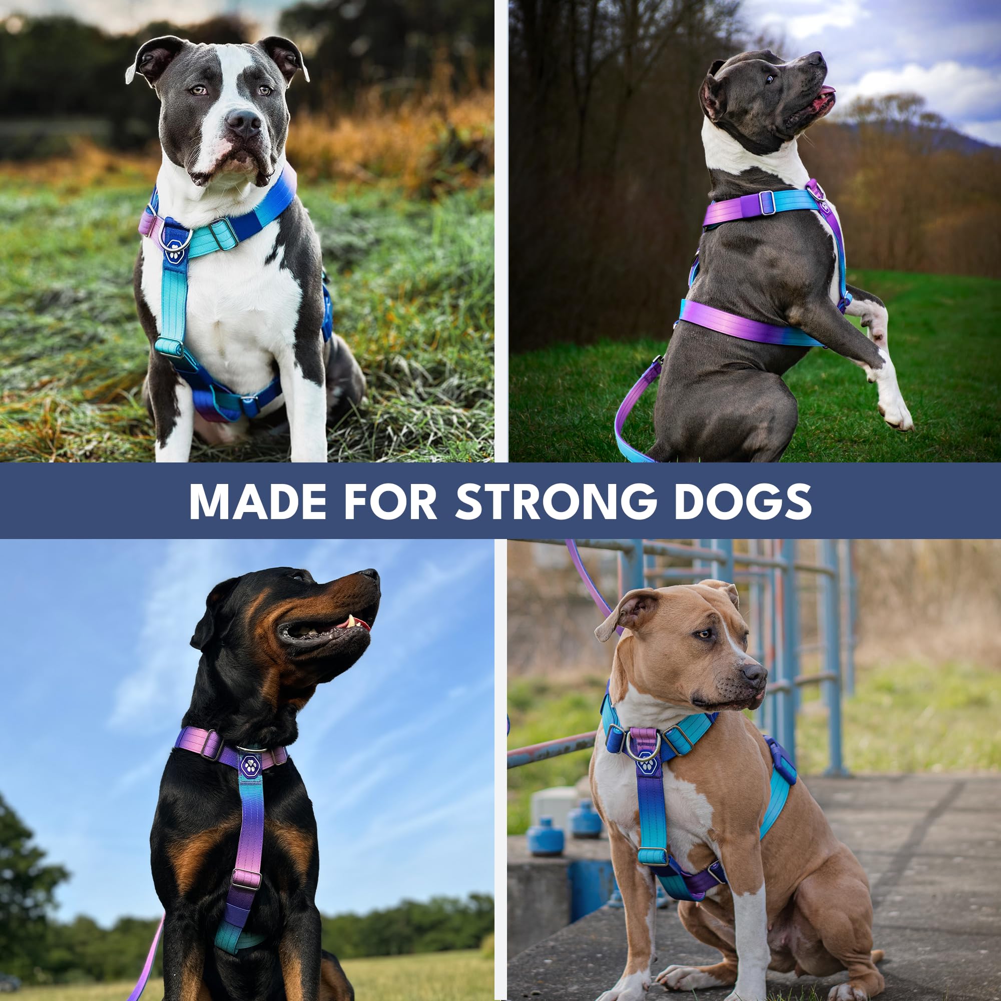 Spark Paws No Pull Dog Harness with Handle for Large Dogs, Heavy Duty Dog Harness for Big Strong Breeds, Adjustable, Y Shaped Padded Halter Design with Front Clip - 90s Retro - L - Image 8