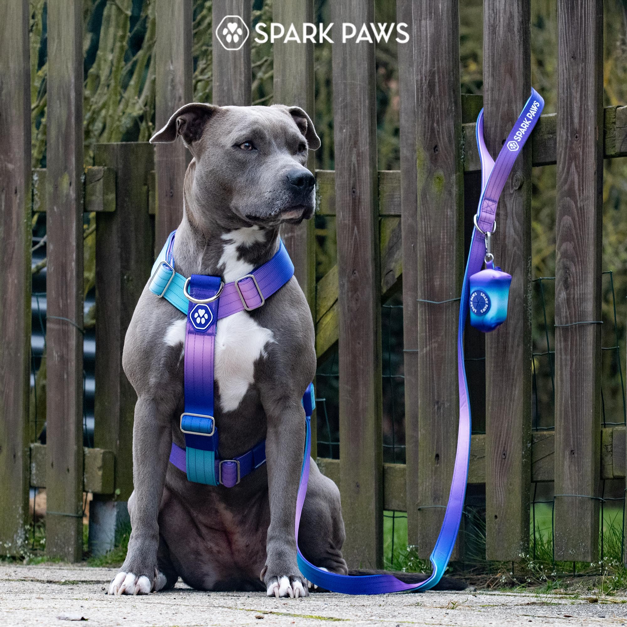 Spark Paws No Pull Dog Harness with Handle for Large Dogs, Heavy Duty Dog Harness for Big Strong Breeds, Adjustable, Y Shaped Padded Halter Design with Front Clip - 90s Retro - L - Image 9