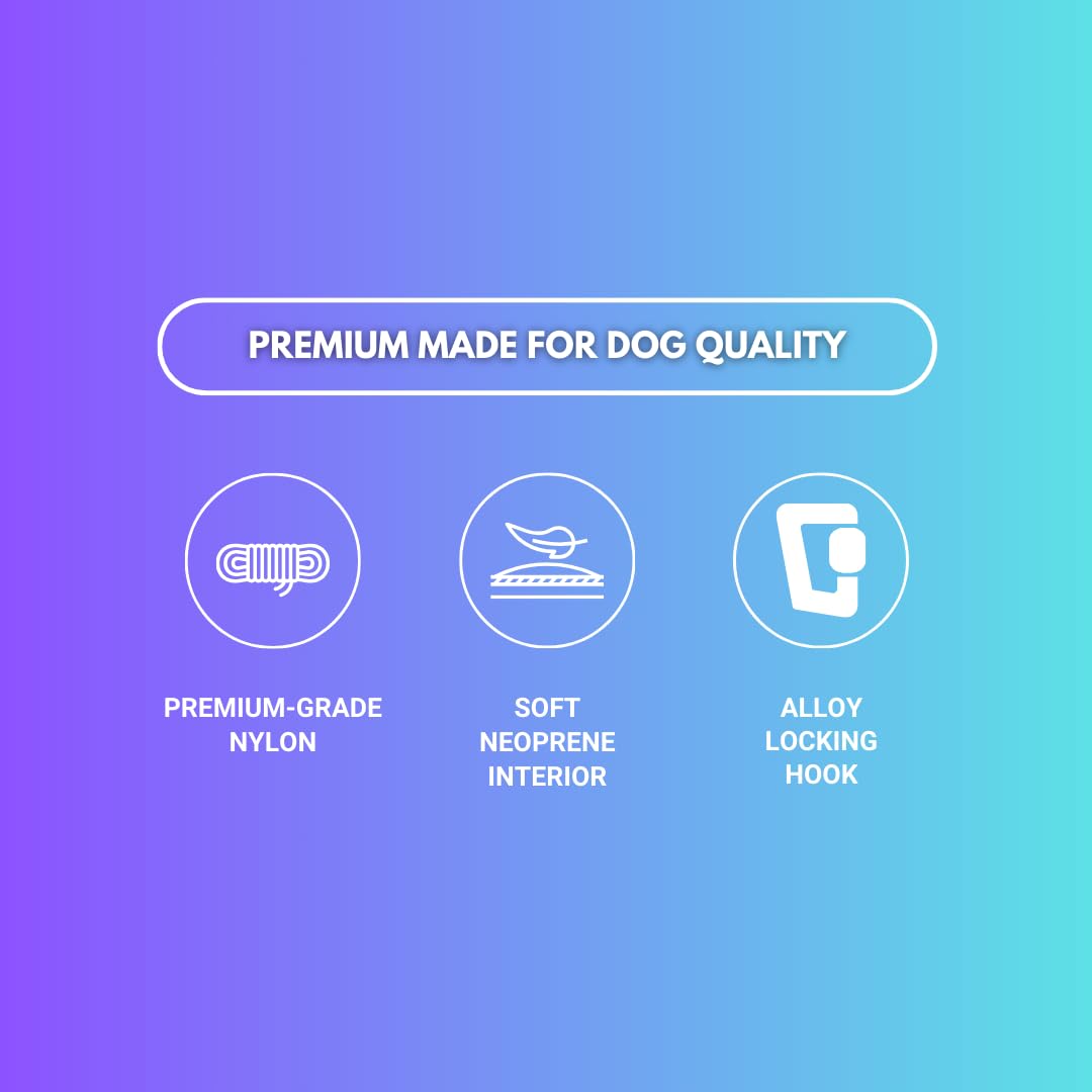 Spark Paws Premium Dog Leash & Poop Bag Set - Heavy-Duty Alloy Hook for Strong Pulling Breeds - Comfortable, Durable & Secure - 90s Retro - Image 4